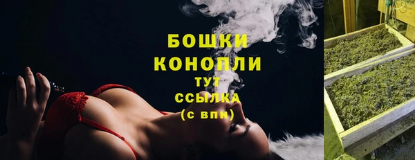 мдпв Вязники